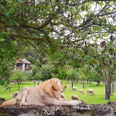 La Fragua De La Vega Appart hôtel La Vega (Vega de Liebana, Cantabria)